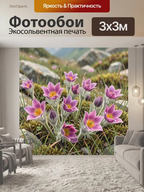 Фотообои Розовые горные цветы среди камней