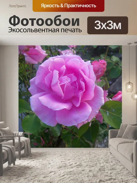 Фотообои Цветок