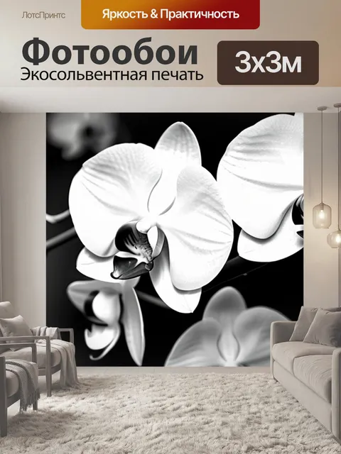 Фотообои с орхидеями чернобелый