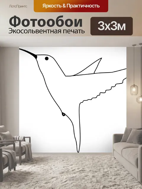 Фотообои Колибри
