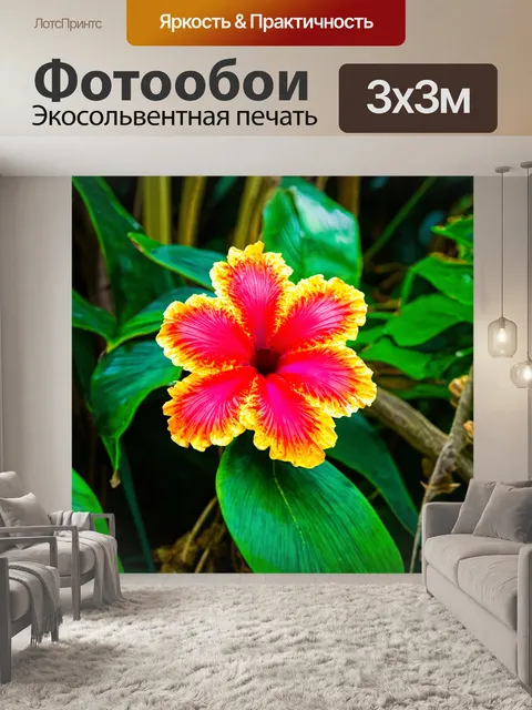 Фотообои экзотические цветы в джунглях