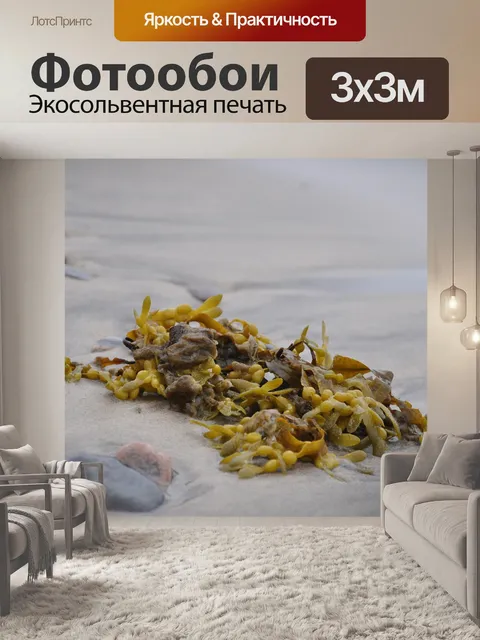 Фотообои Фукус