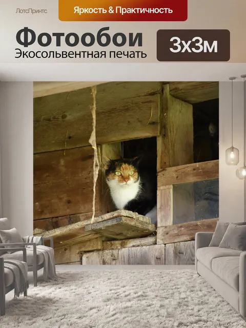 Фотообои Кошки