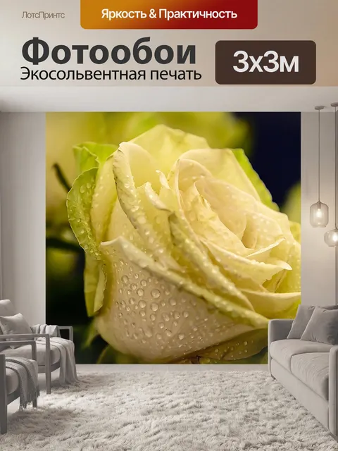 Фотообои Розы