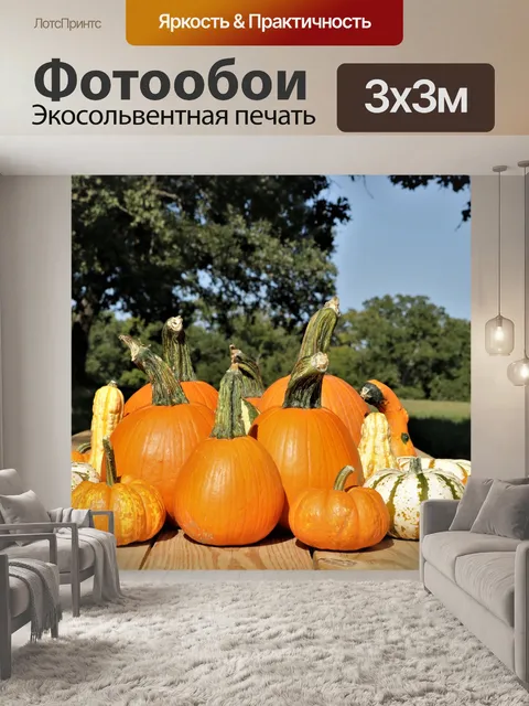 Фотообои Тыквы и урожай тыкв