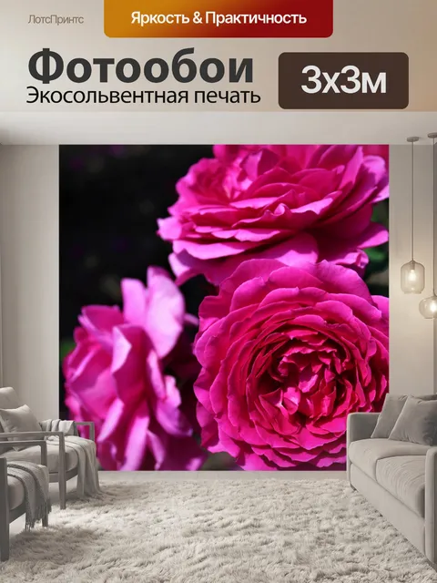 Фотообои Розы