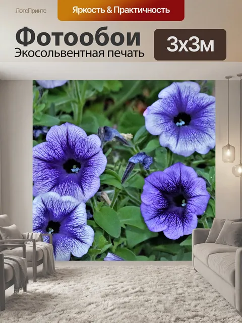 Фотообои Четыре синих петунии крупным планом