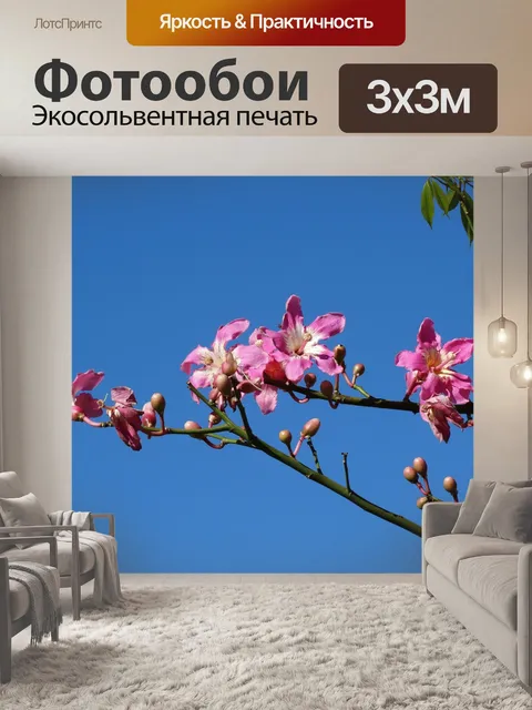 Фотообои Розовый цветок