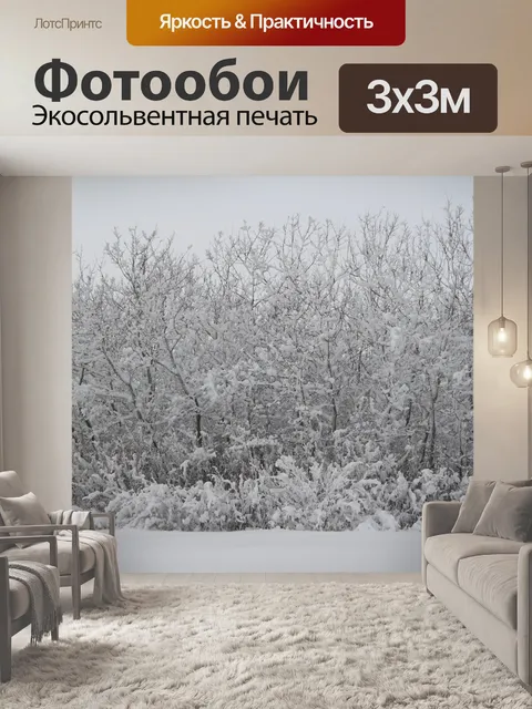 Фотообои Снежные деревья