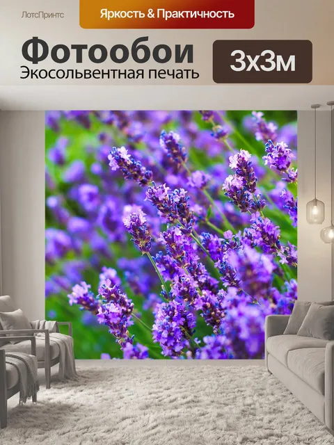 Фотообои Лаванда
