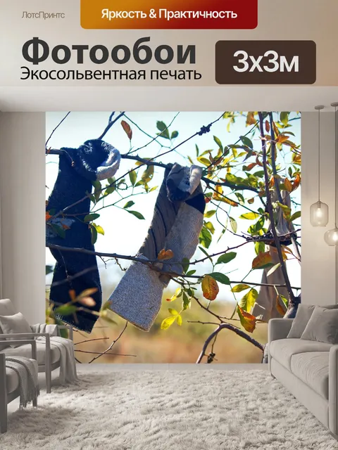 Фотообои случайные носки висят на дереве