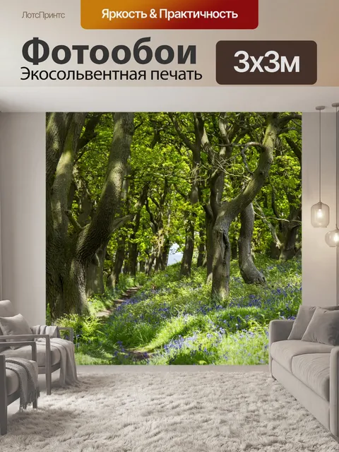 Фотообои Зеленый лес