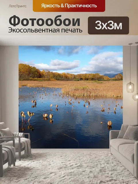 Фотообои Осень
