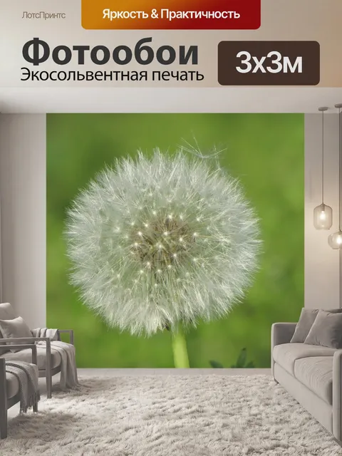 Фотообои Осот огородный
