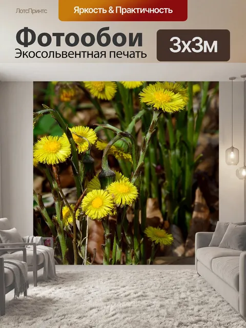 Фотообои Лес одуванчик