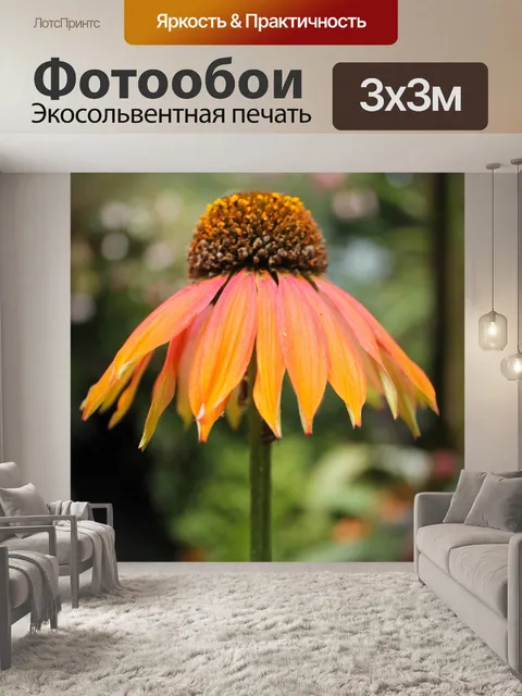 Фотообои Цветы