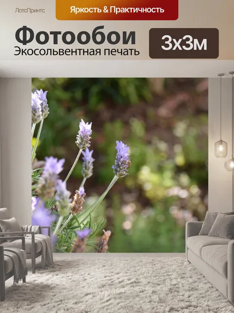 Фотообои Лаванда