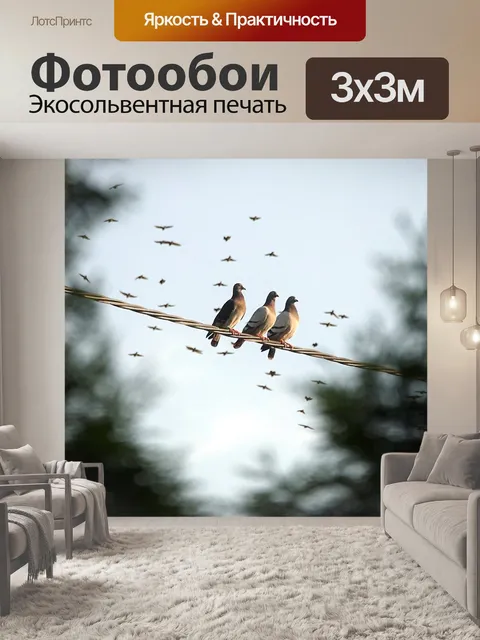 Фотообои Голуби