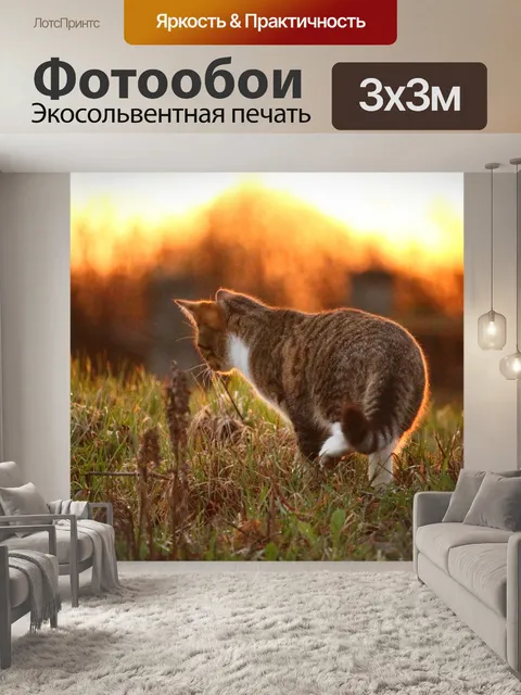 Фотообои Кот