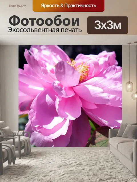 Фотообои Цветок