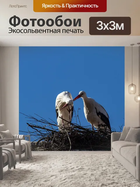 Фотообои Аист