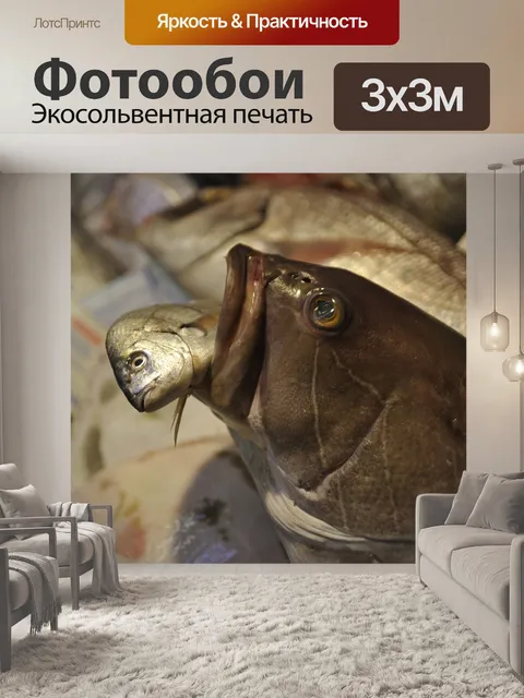Фотообои Рыбы