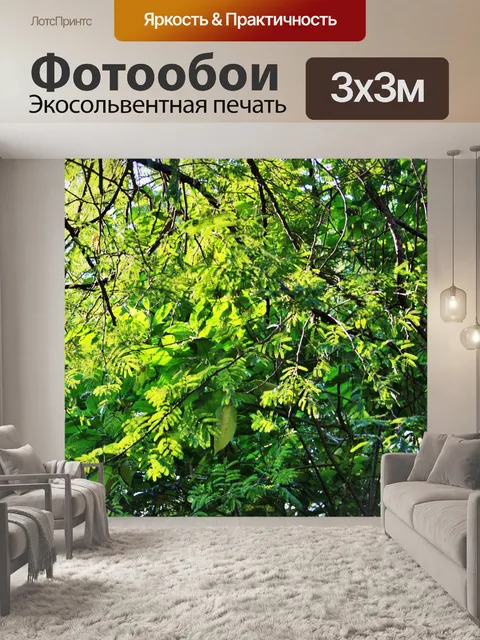 Фотообои пышные роста деревьев и кустарников