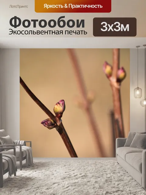 Фотообои Бутон
