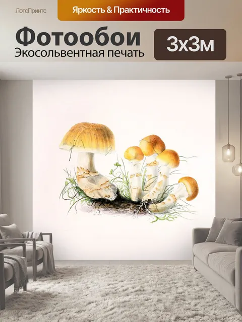 Фотообои Грибы винтаж арт старый