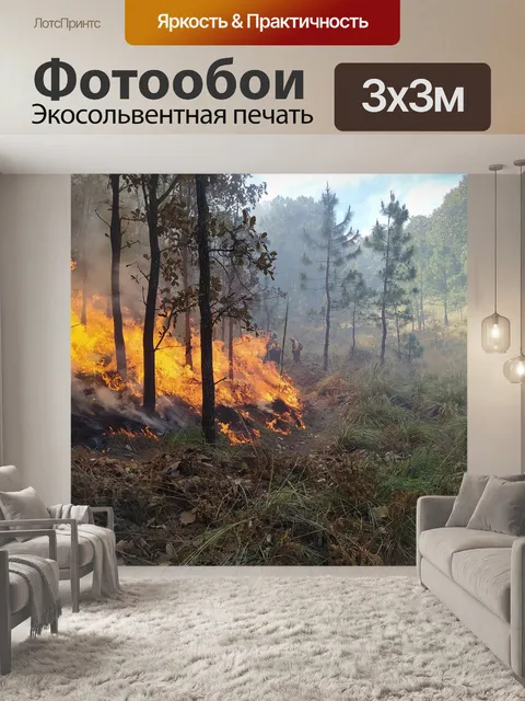 Фотообои Лес