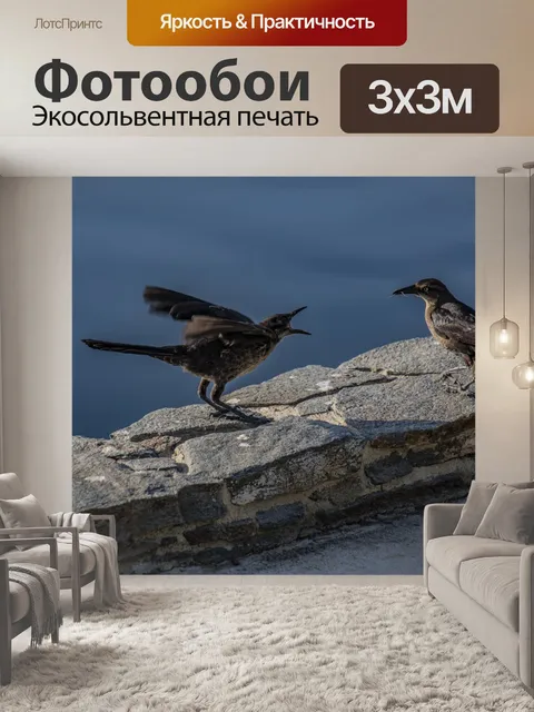 Фотообои Мама Птица и Несовершеннолетние