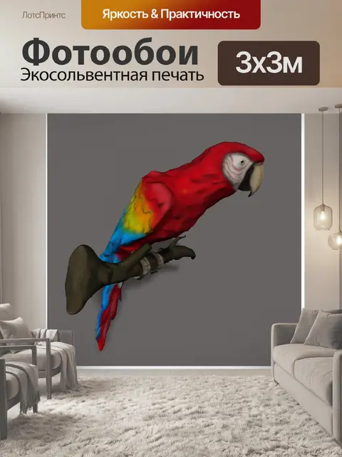 Фотообои Скарлет ара