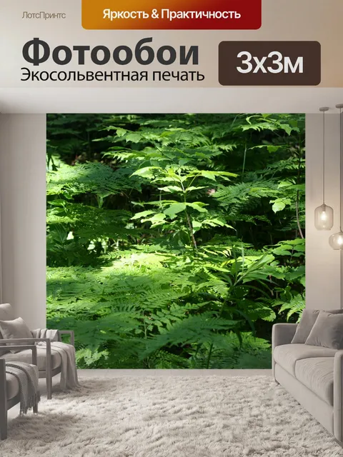 Фотообои папоротники в солнечном луче