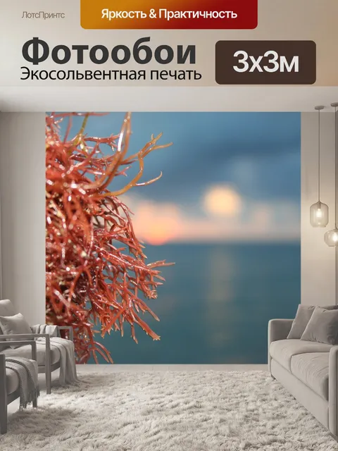 Фотообои Водоросли