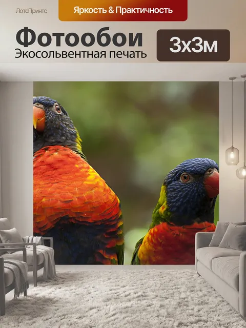 Фотообои Птицы