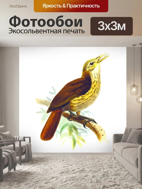Фотообои Птица