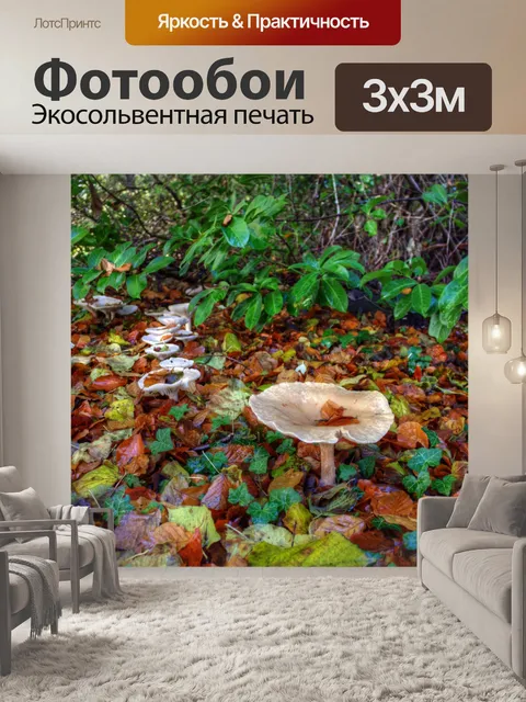 Фотообои Сказочное кольцо