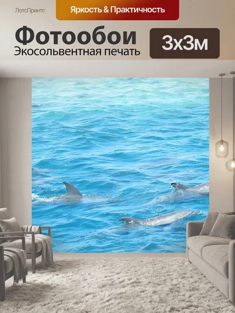 Фотообои Морские млекопитающие