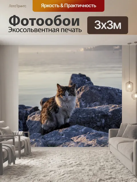 Фотообои Кошка