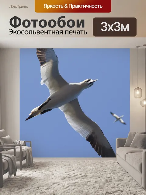 Фотообои Животные