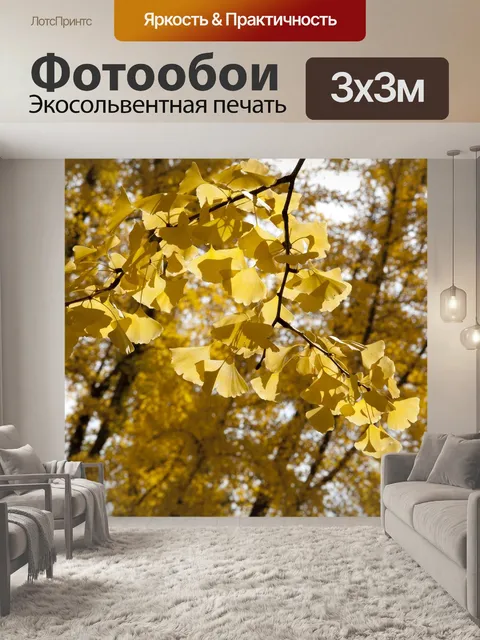 Фотообои Гинкго