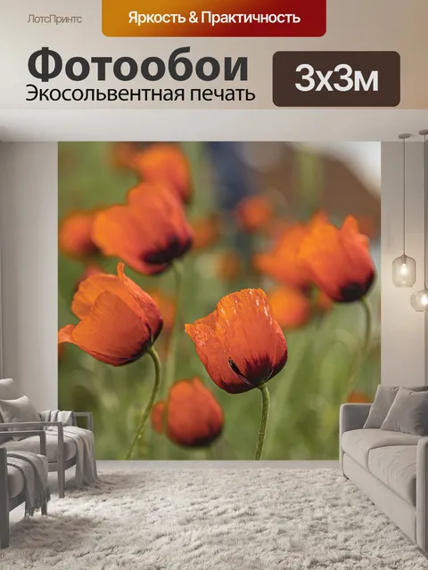 Фотообои Маки