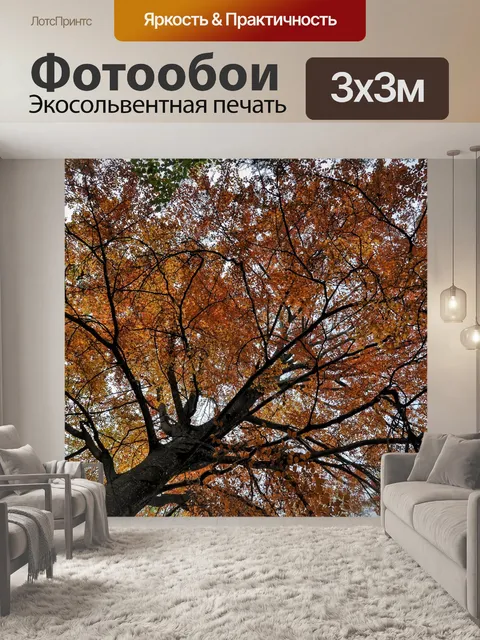 Фотообои Падение