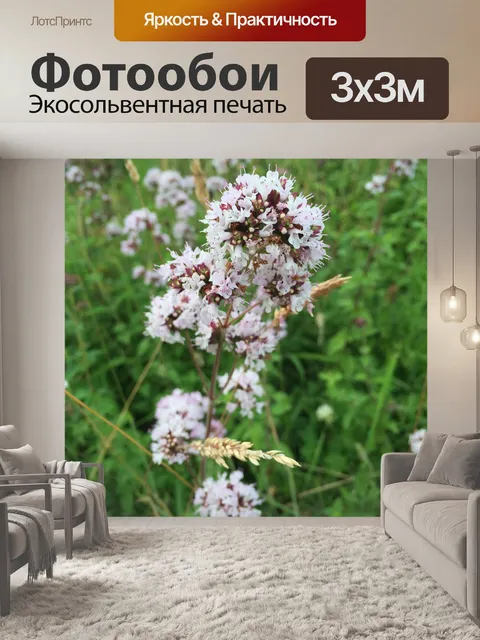 Фотообои Полевые цветы