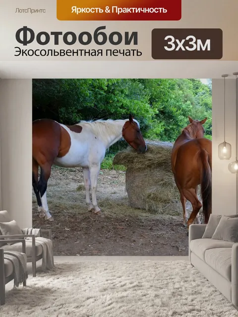 Фотообои Лошади