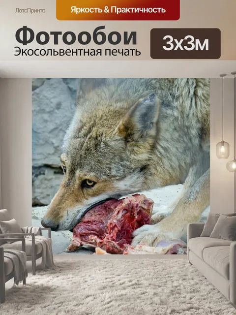 Фотообои Волк