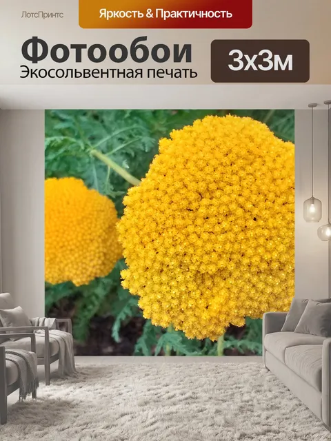Фотообои Желтый полевой цветок тысячелистника