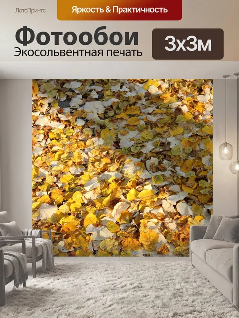 Фотообои Падение