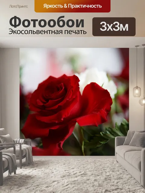 Фотообои Роза