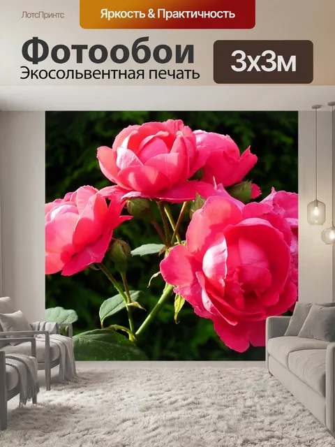 Фотообои Розы